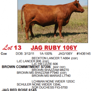 Lot13stacked  