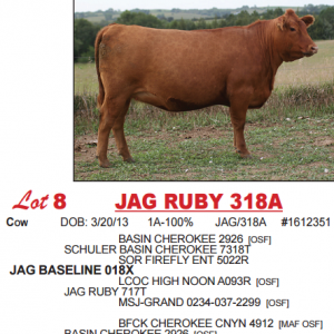 Lot8stacked  