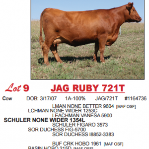 Lot9stacked  
